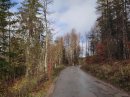 Route qui descend aux Fourgs